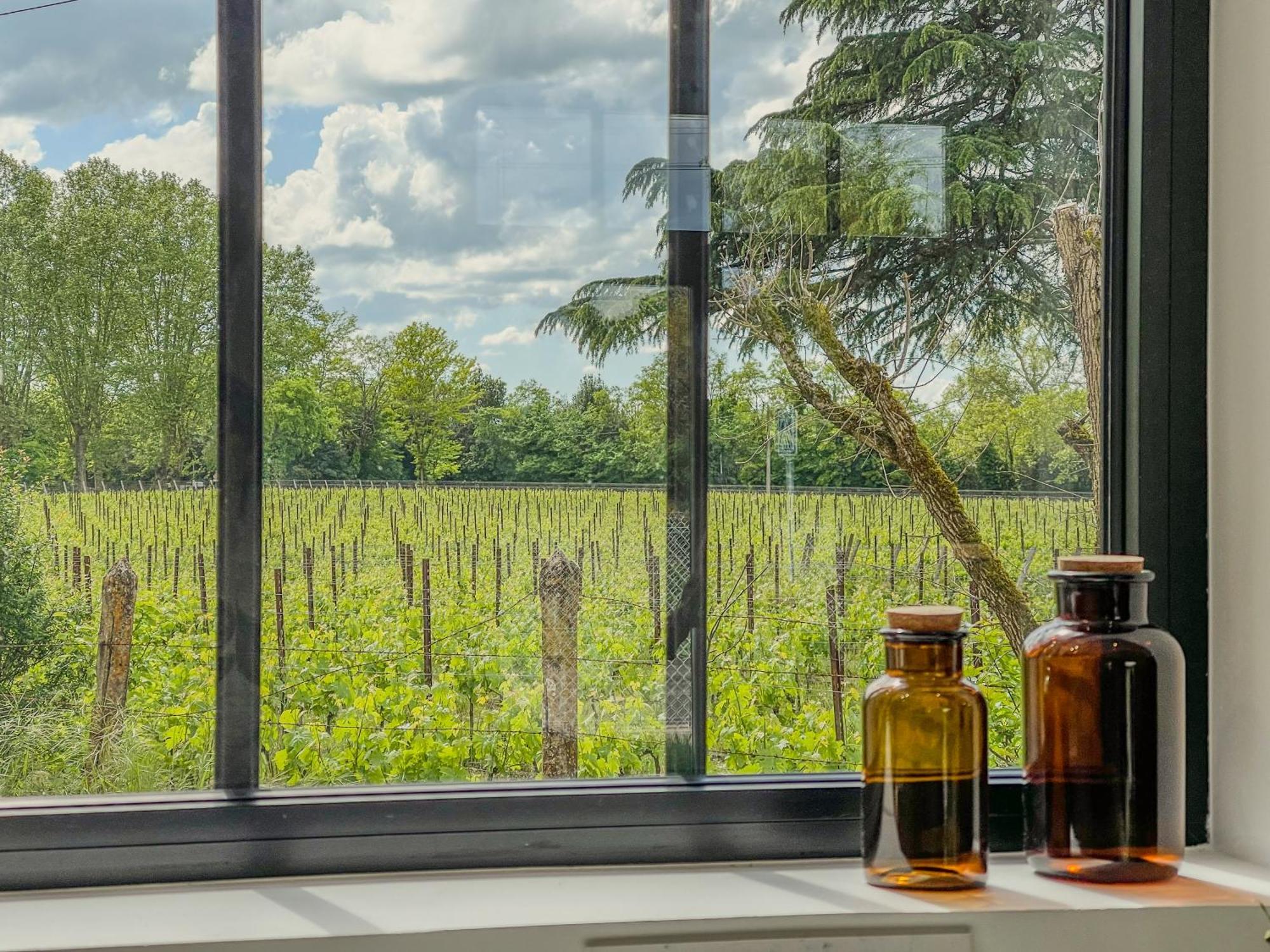 Maison Cosy Avec Vue Sur Les Vignes. ลีบอร์น ภายนอก รูปภาพ